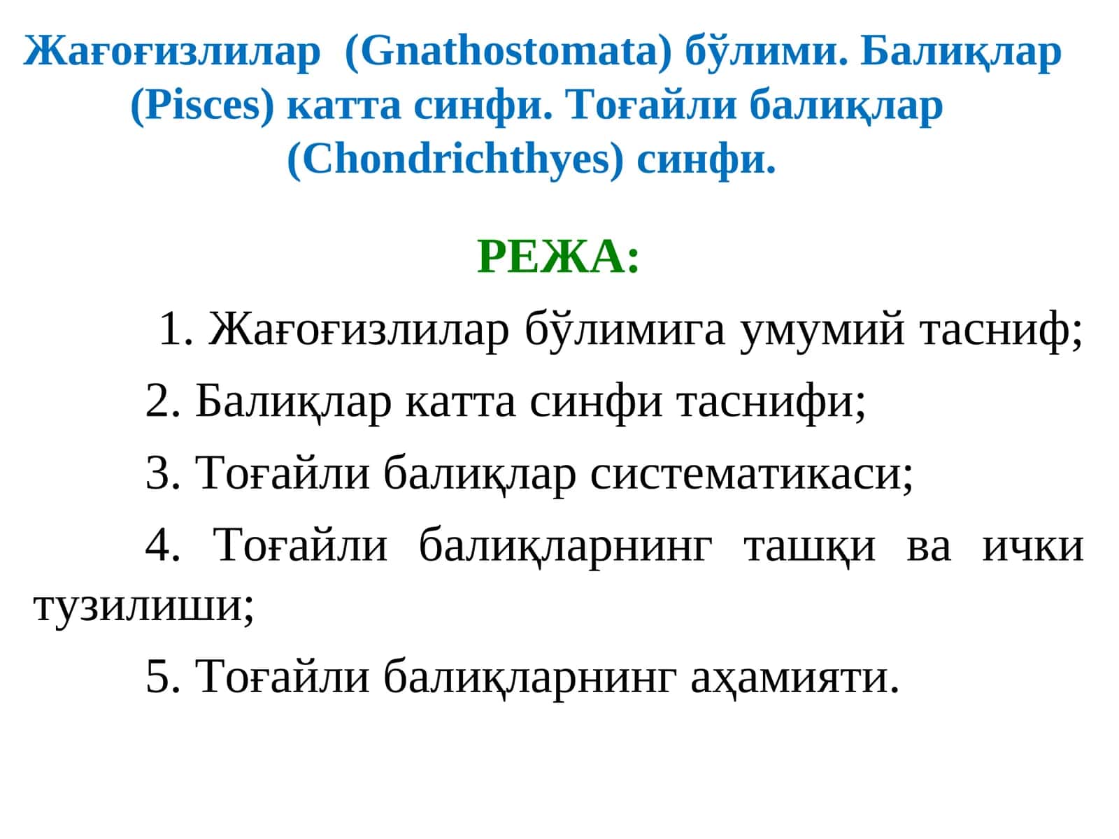 Тоғайли балиқлар (Chondrichthyes) синфи 1
