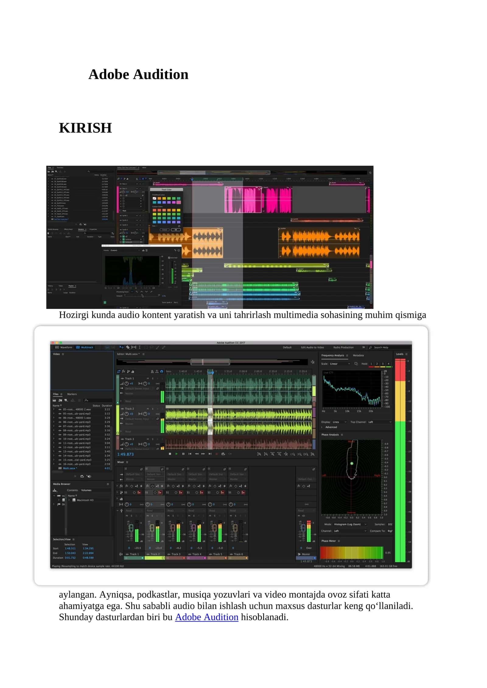 ADOBE AUDITION HAQIDA 1