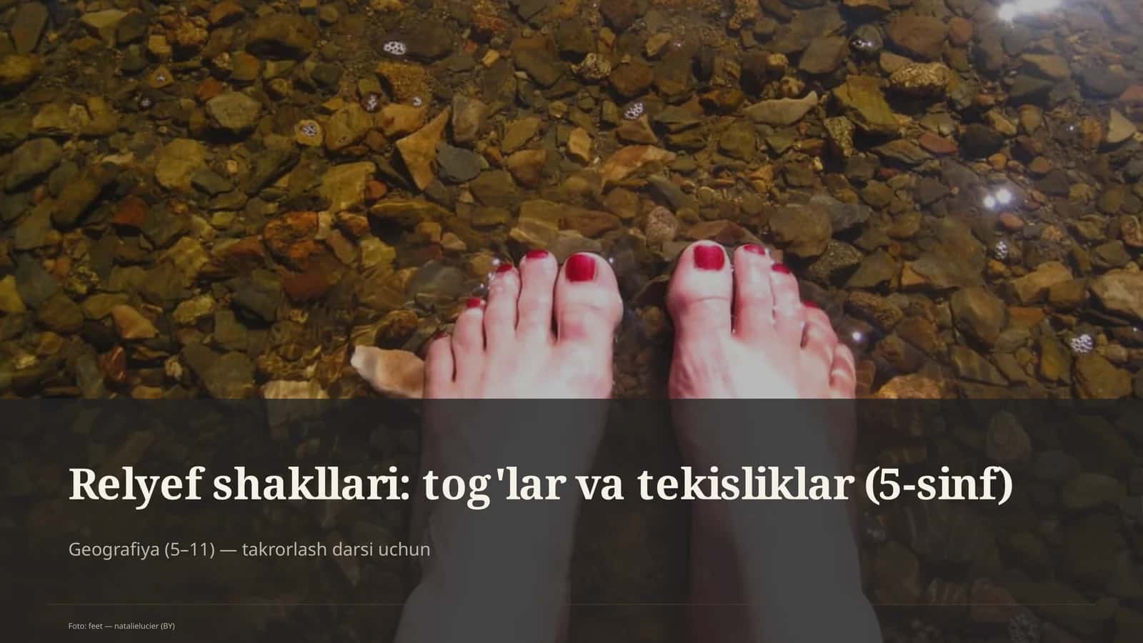 Relyef shakllari: tog'lar va tekisliklar (5-sinf) 1