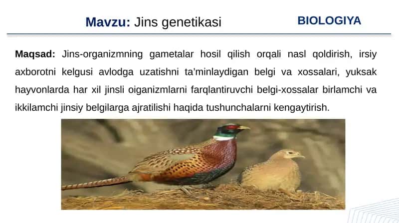 Jins genetikasi 1