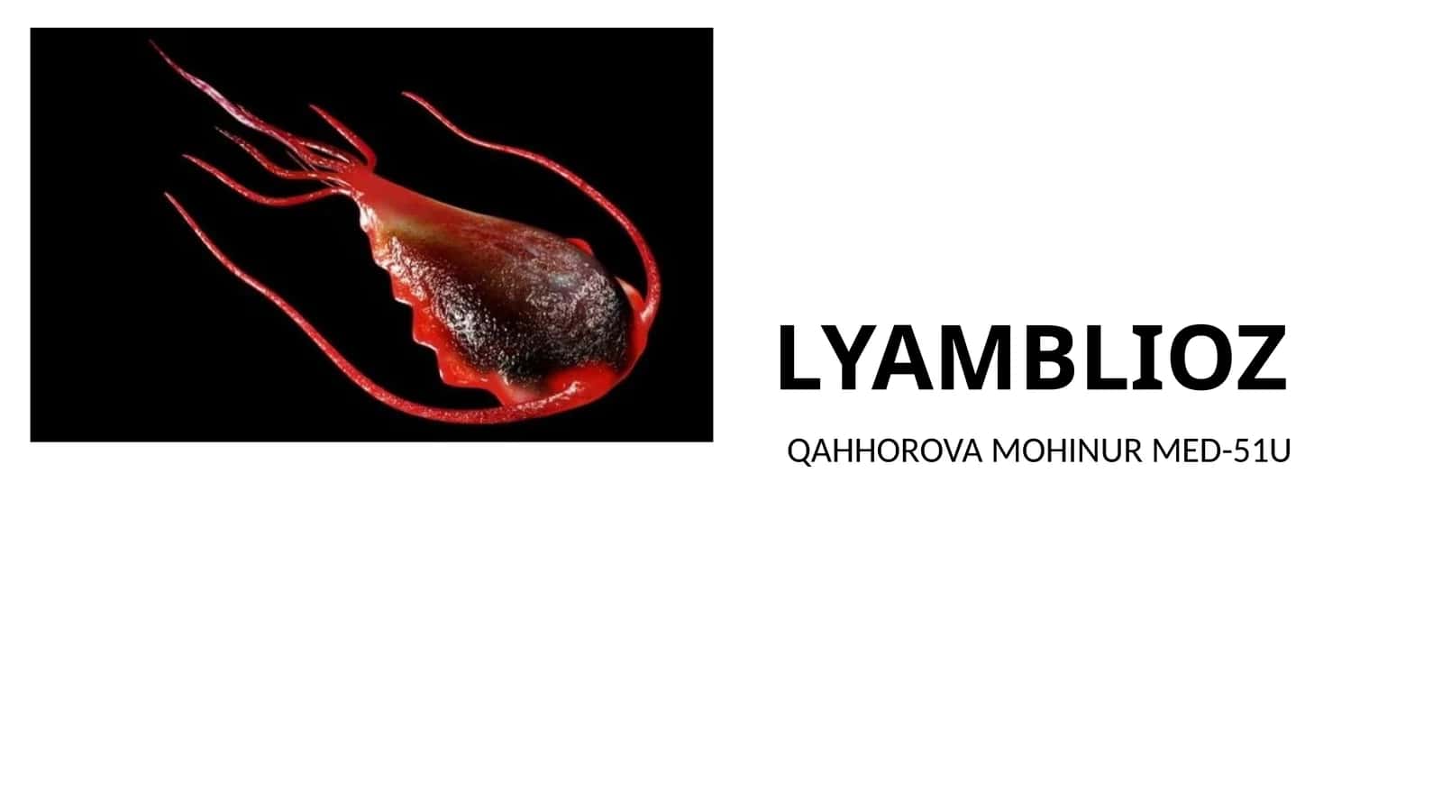 LYAMBLIOZ 1