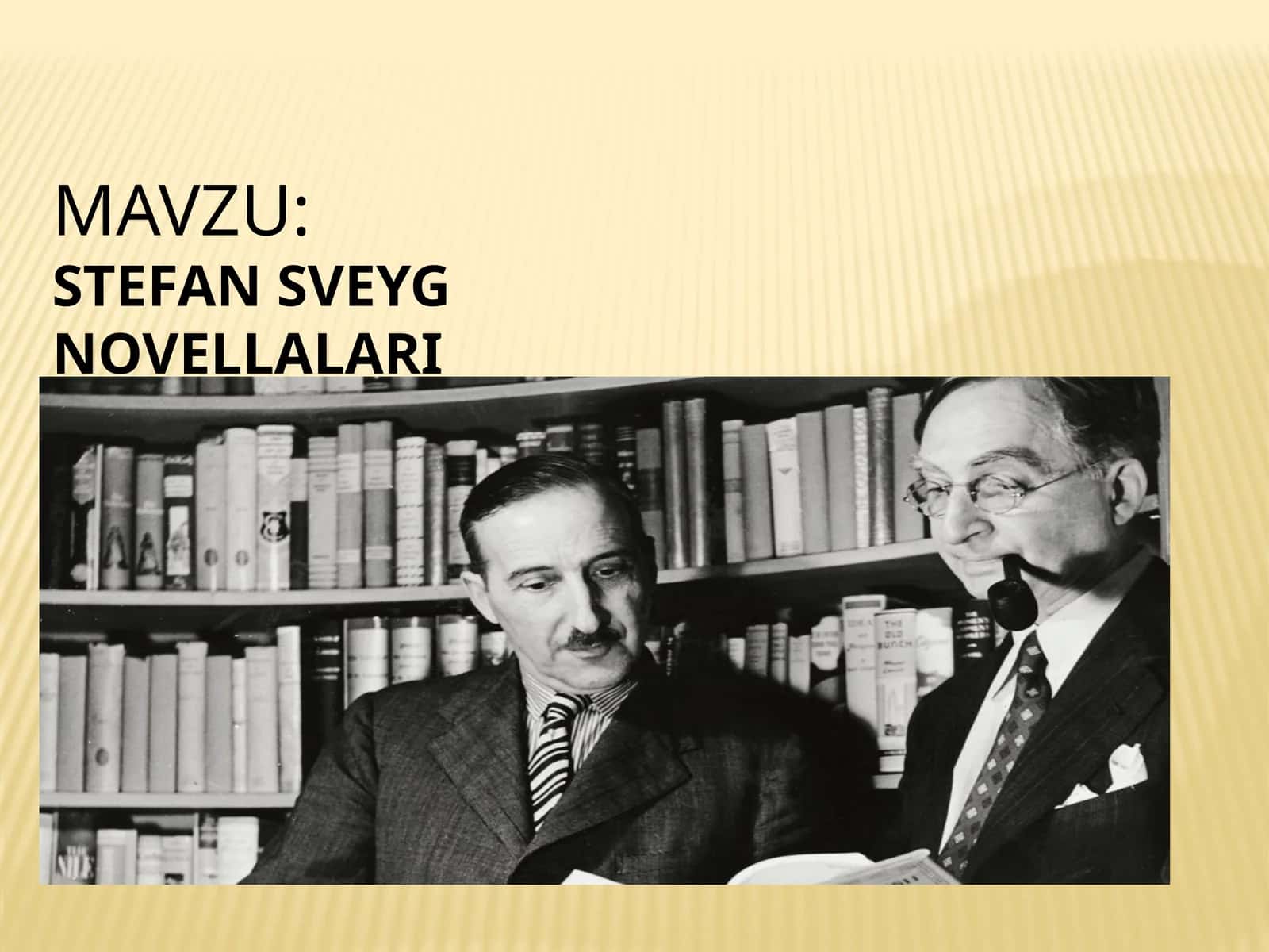 STEFAN SVEYG NOVELLALARI 1