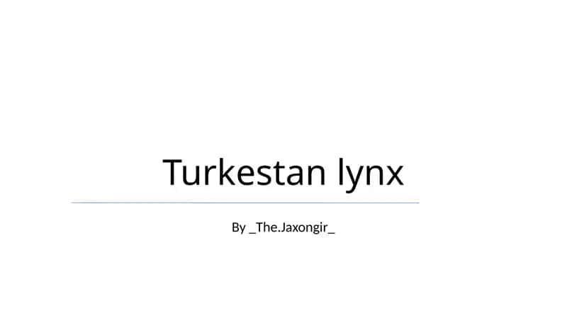 Turkestan lynx 1