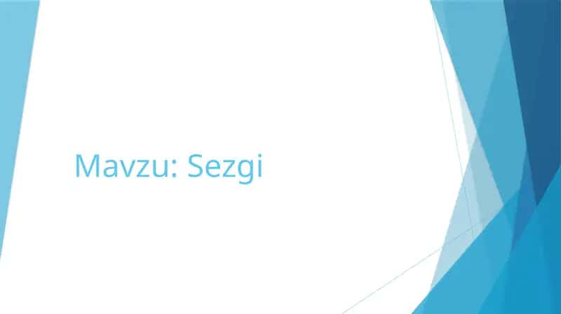 Sezgi 1