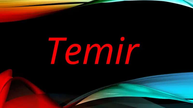 Temir 1