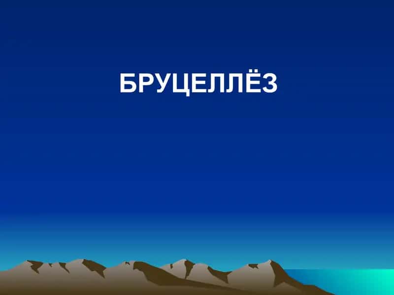 Бруцеллёз 1