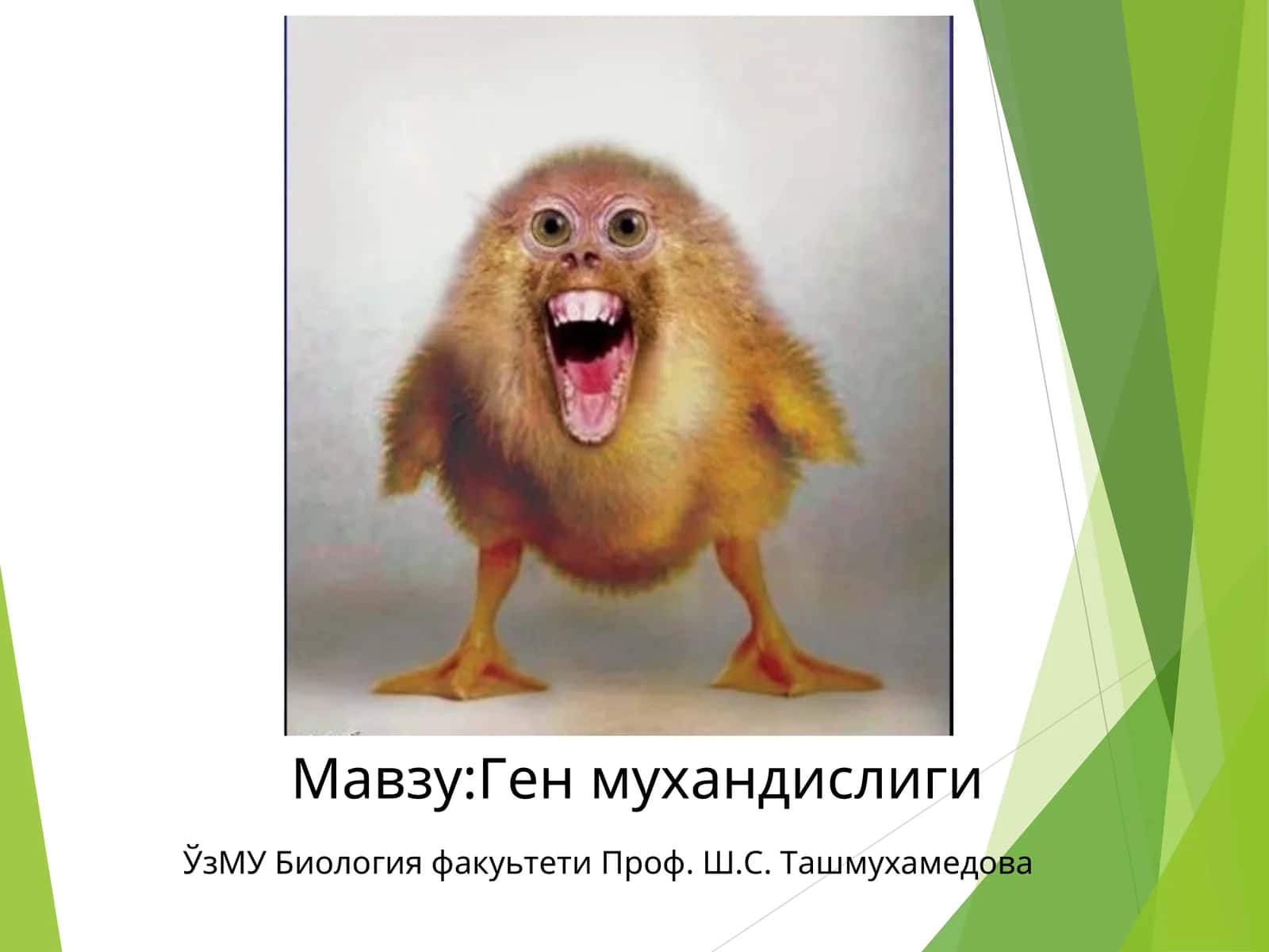 Ген мухандислиги 1