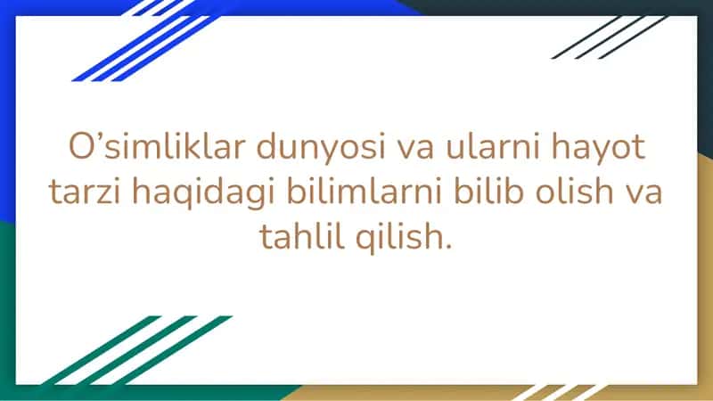 O'simliklar dunyosi 1