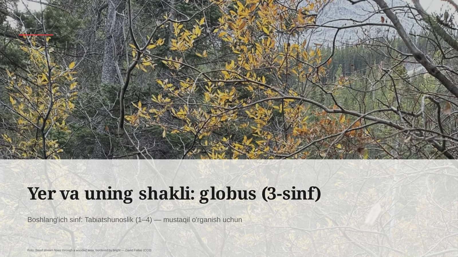 Globus (3-sinf) 1