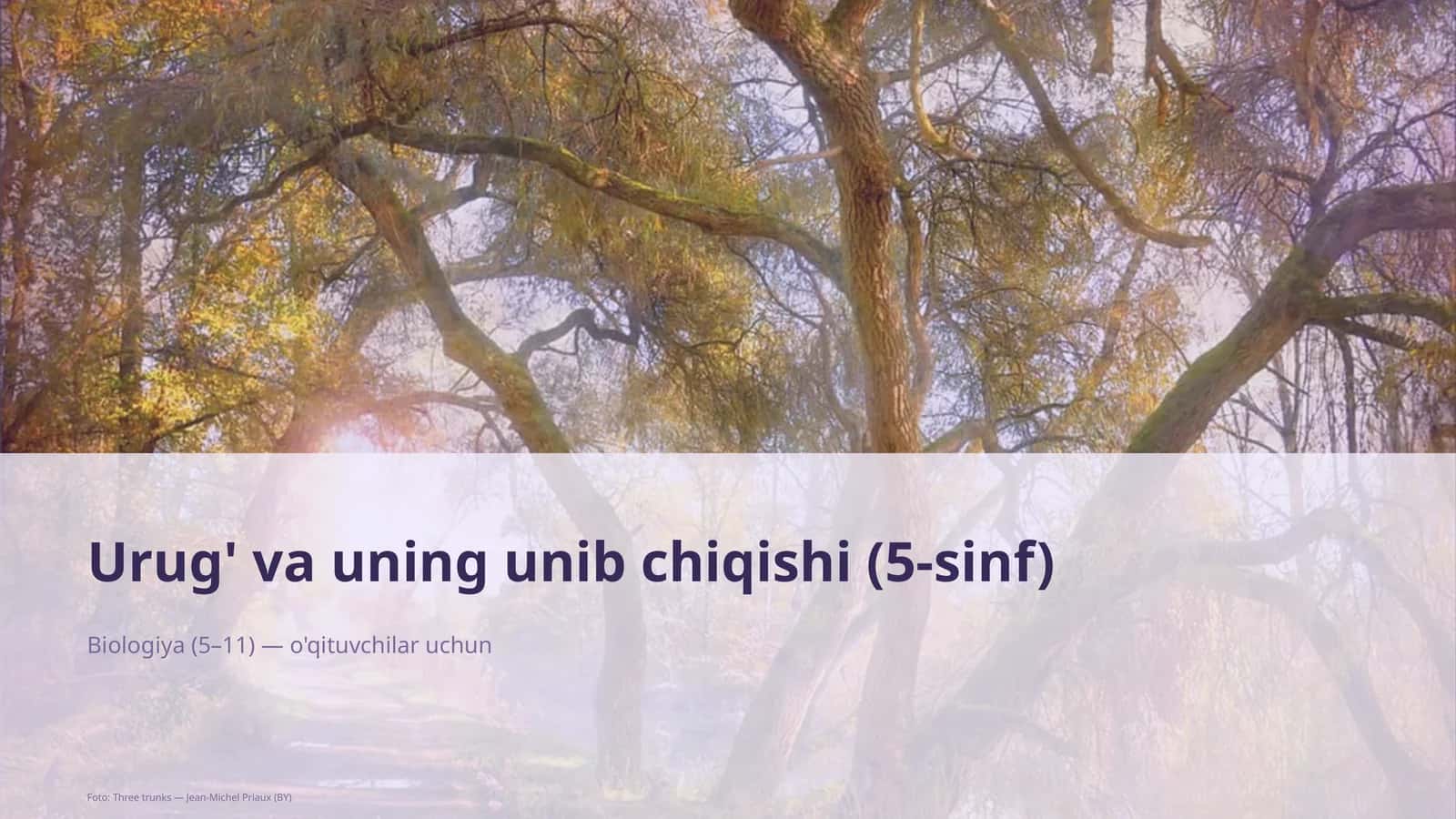 Urug' va uning unib chiqishi (5-sinf) 1
