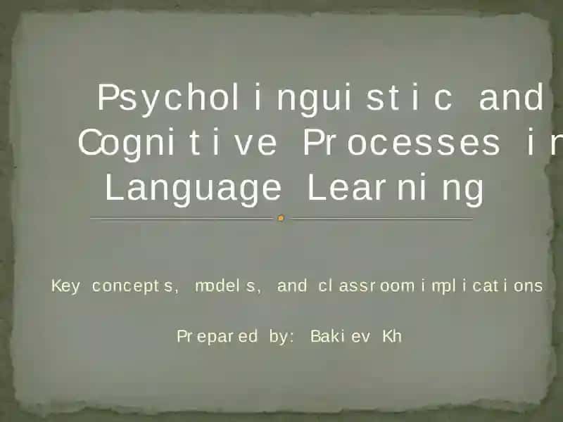 Psycholinguistic and Cognitive Processes in Language Learning