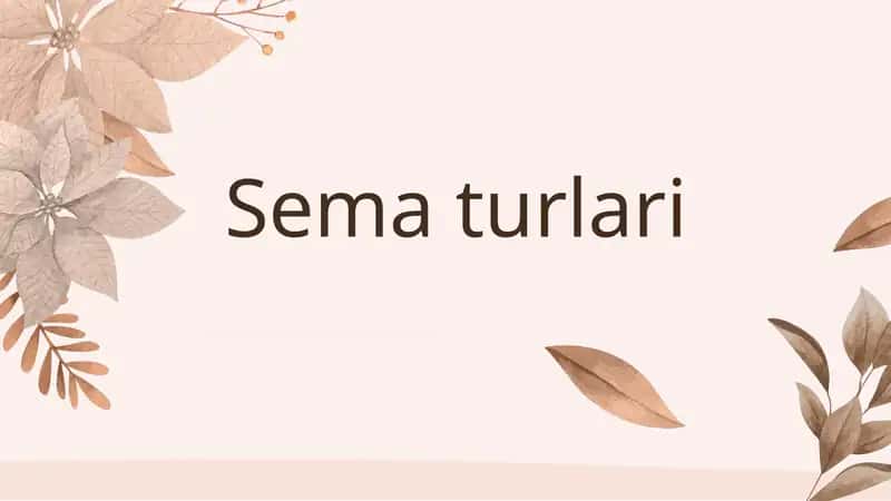 Sema va turlari 1