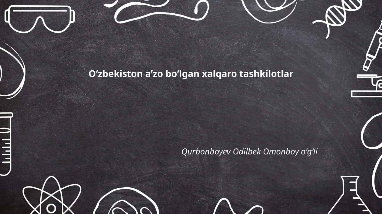 Birlashgan Millatlar Tashkiloti (BMT) 1