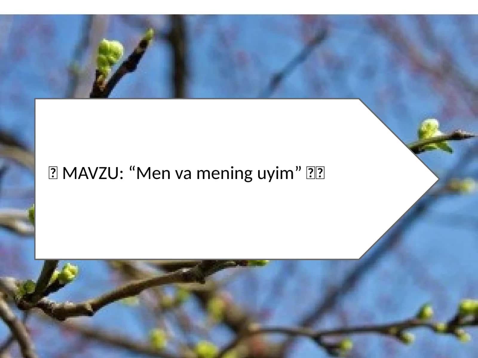 Men va mening uyim 1