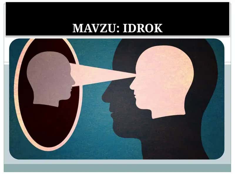 IDROK 1