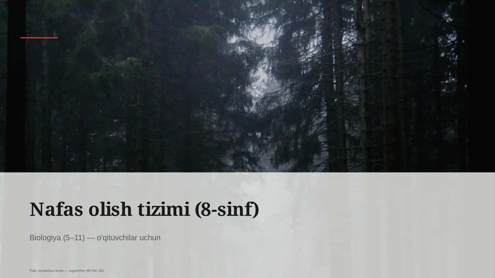 Nafas olish tizimi (8-sinf) 1