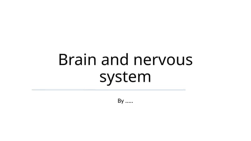 Brain and nervous system 1