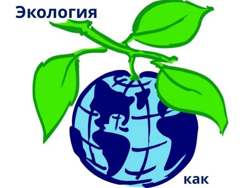 Экология 1