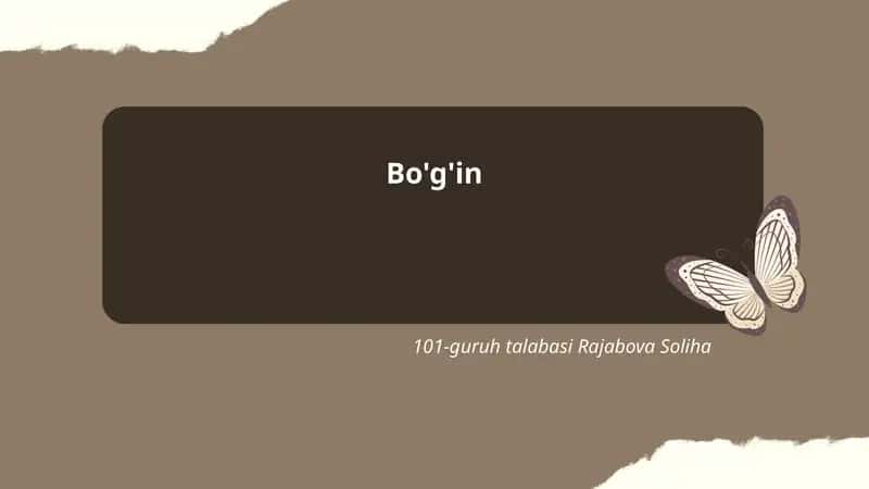 Bo'g'in 1