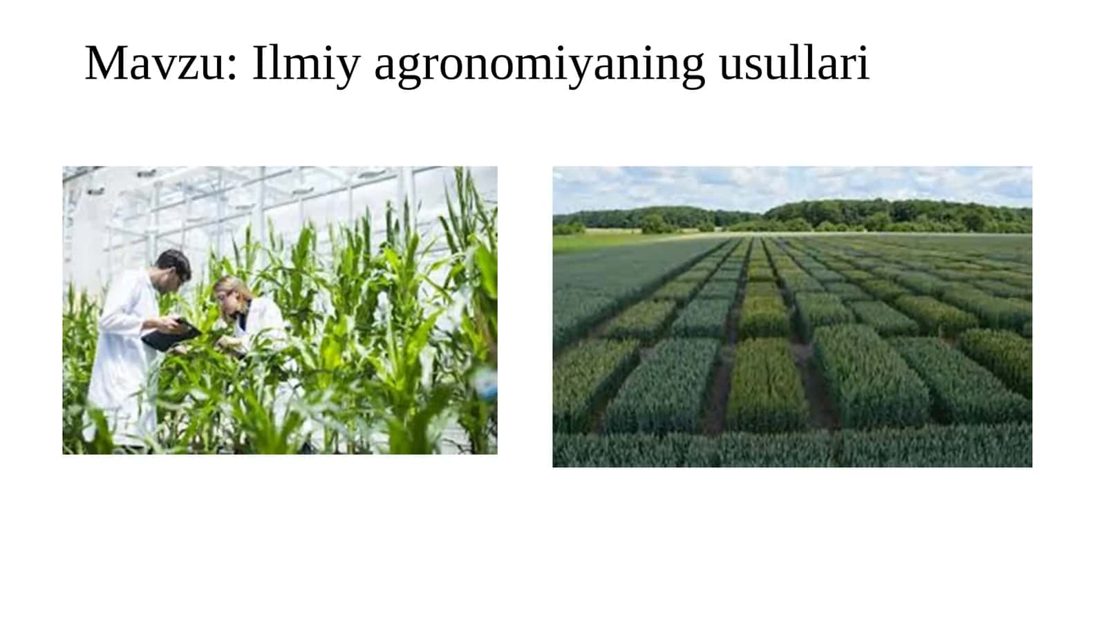 Ilmiy agronomiyaning usullari 1
