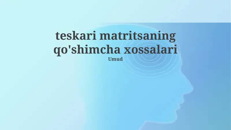 Teskari matritsaning qo'shimcha xossalari 1