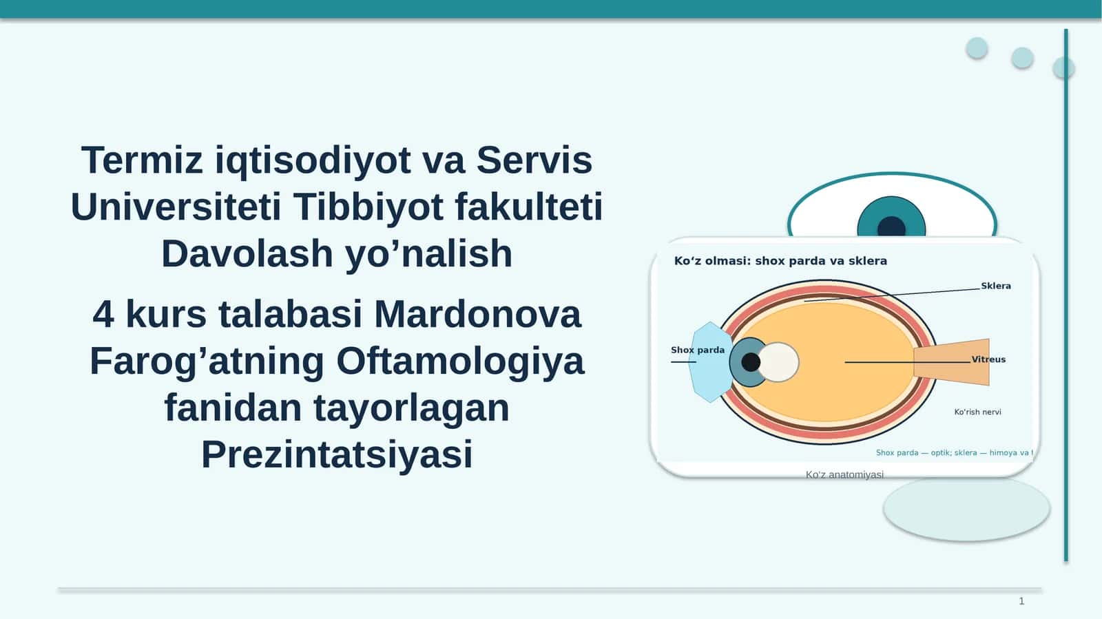 Ko‘z anatomiyasi 1