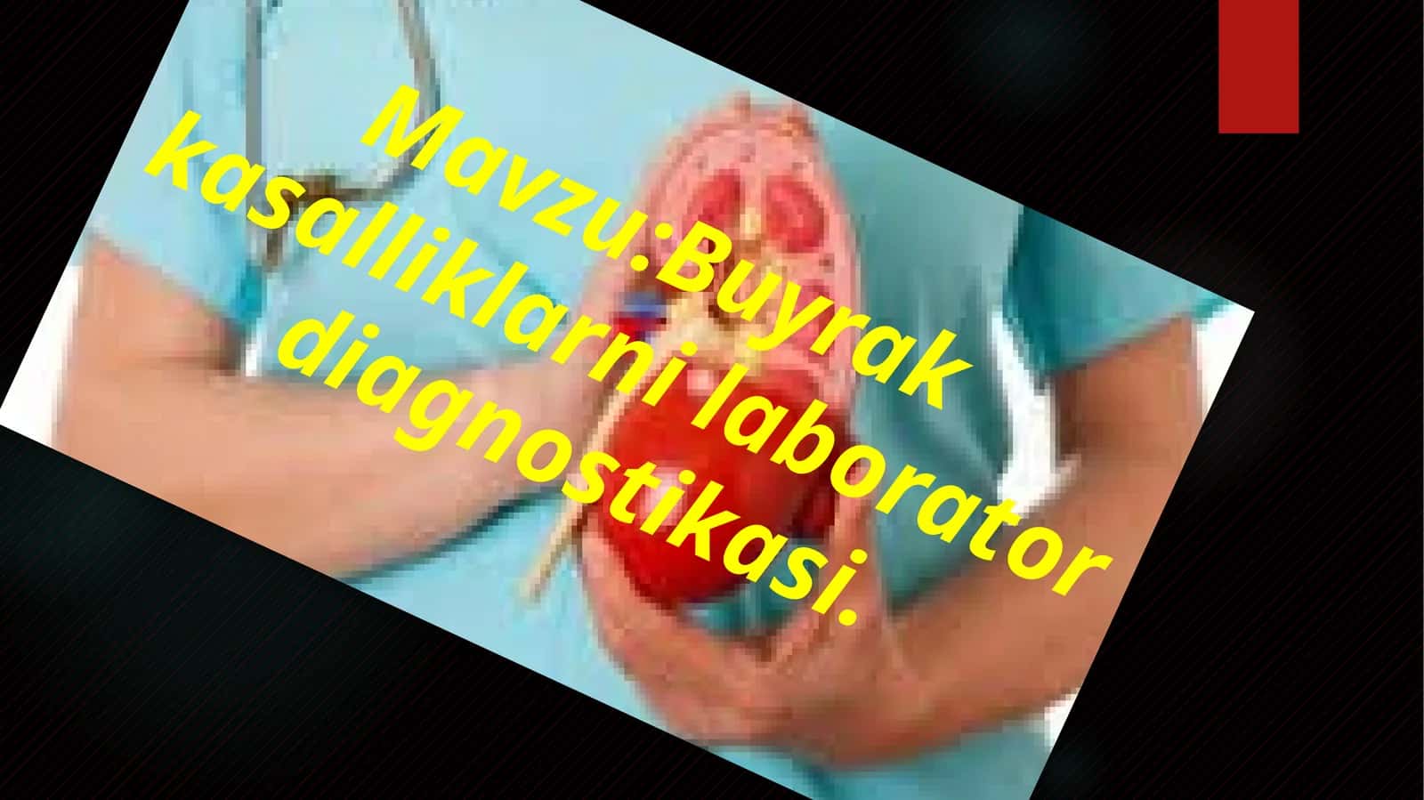 Buyrak kasalliklarini laborator diagnostikasi 1