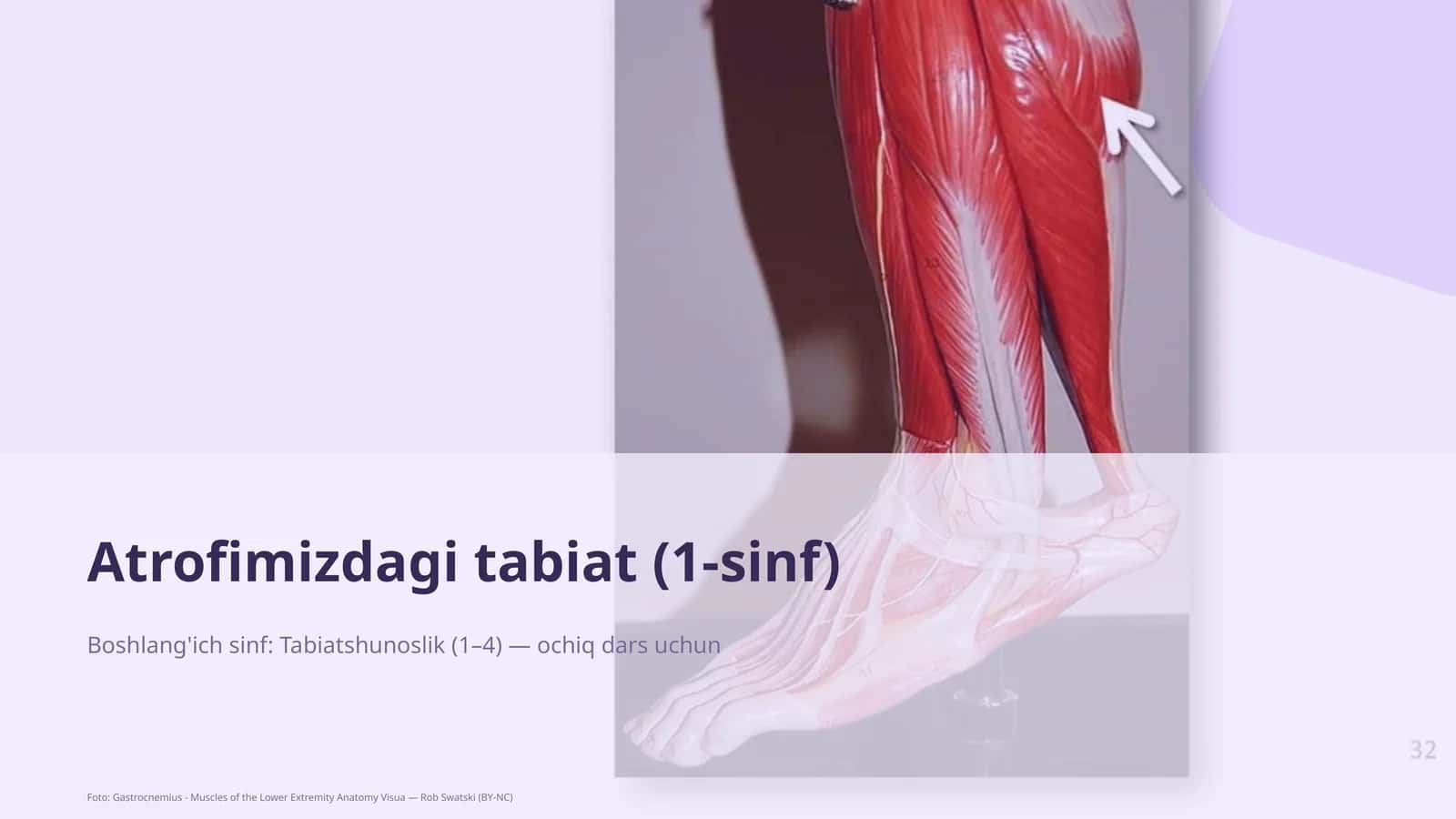 Atrofimizdagi tabiat (1-sinf) 1
