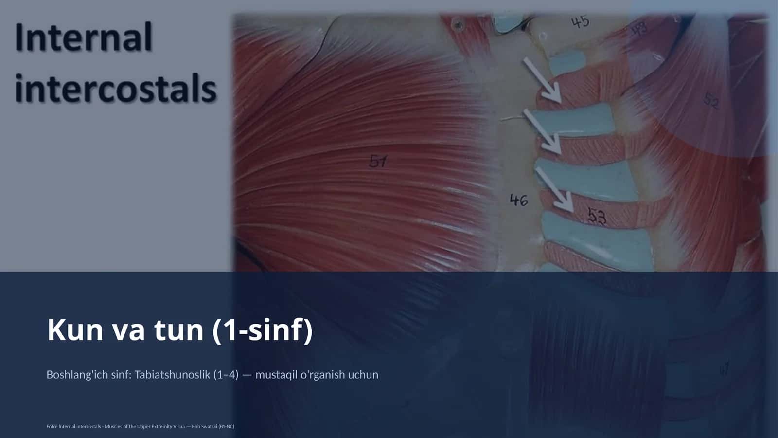 Kun va tun (1-sinf) 1