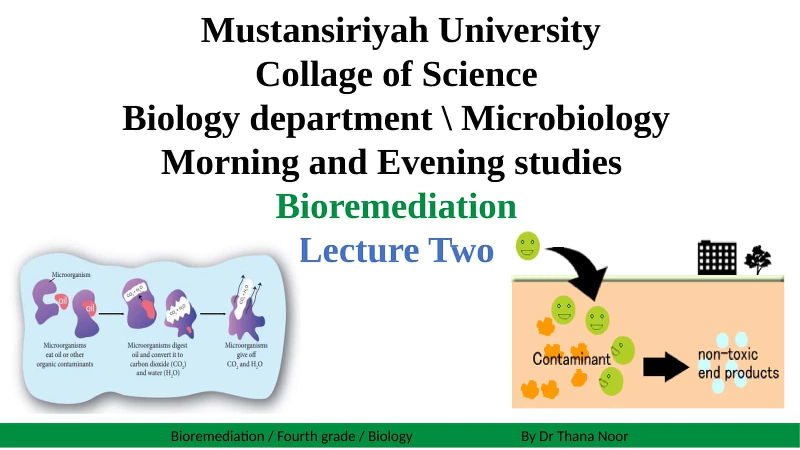 Bioremediation Lecture Two 1