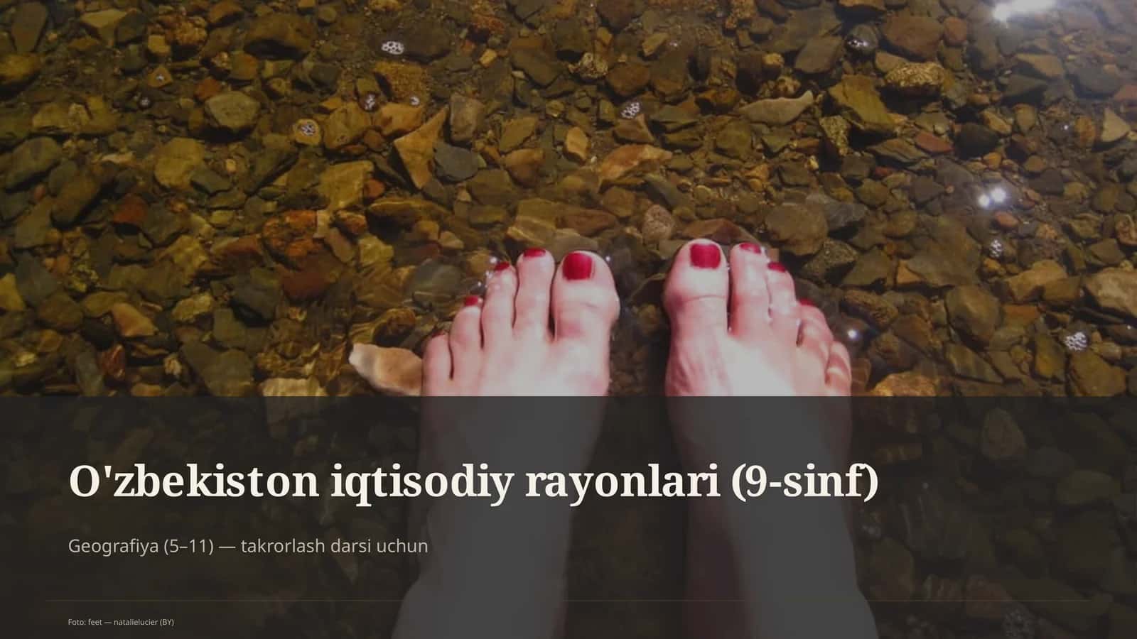 O'zbekiston iqtisodiy rayonlari (9-sinf) 1