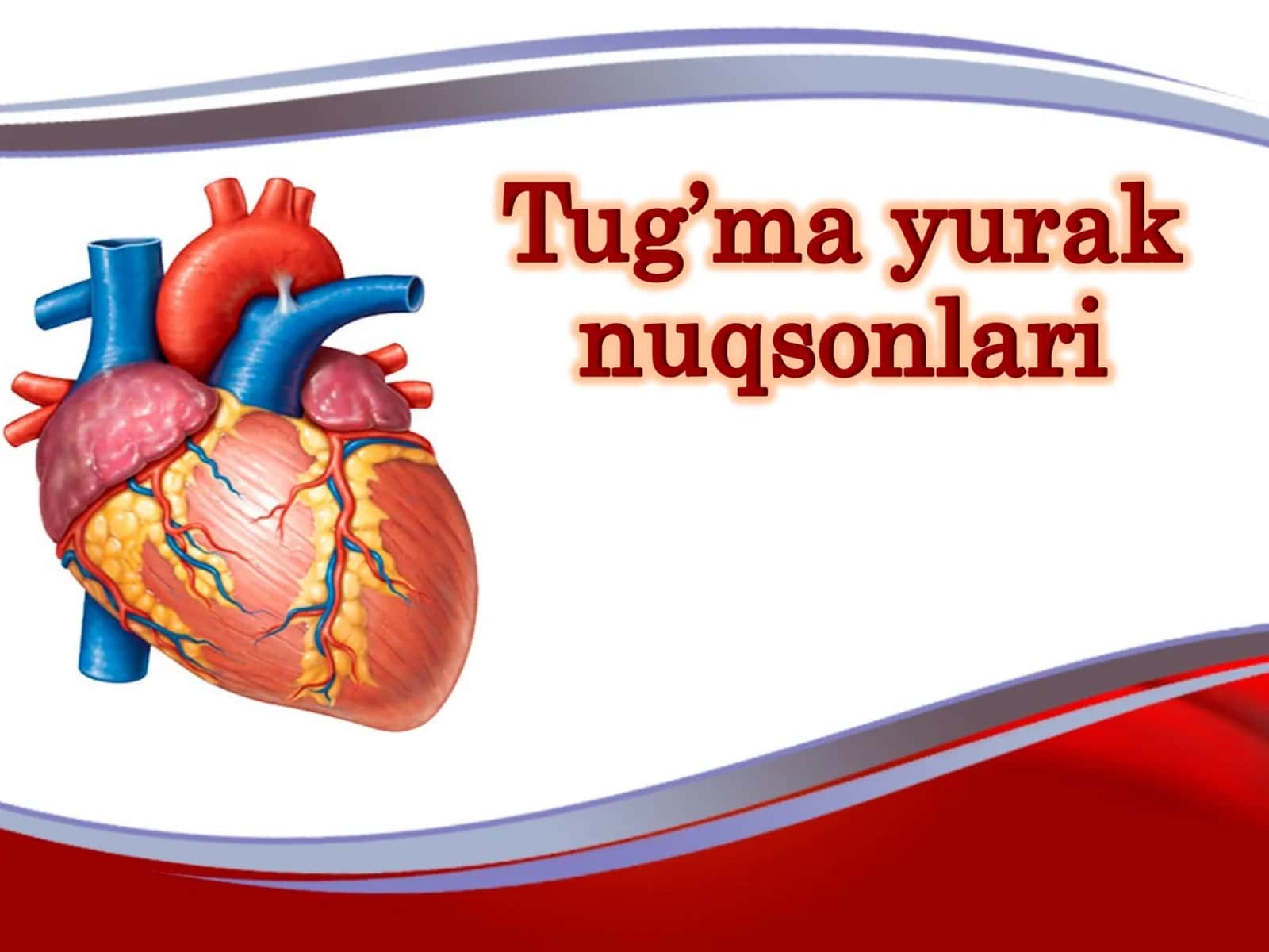 Yurak nuqsonlari 1