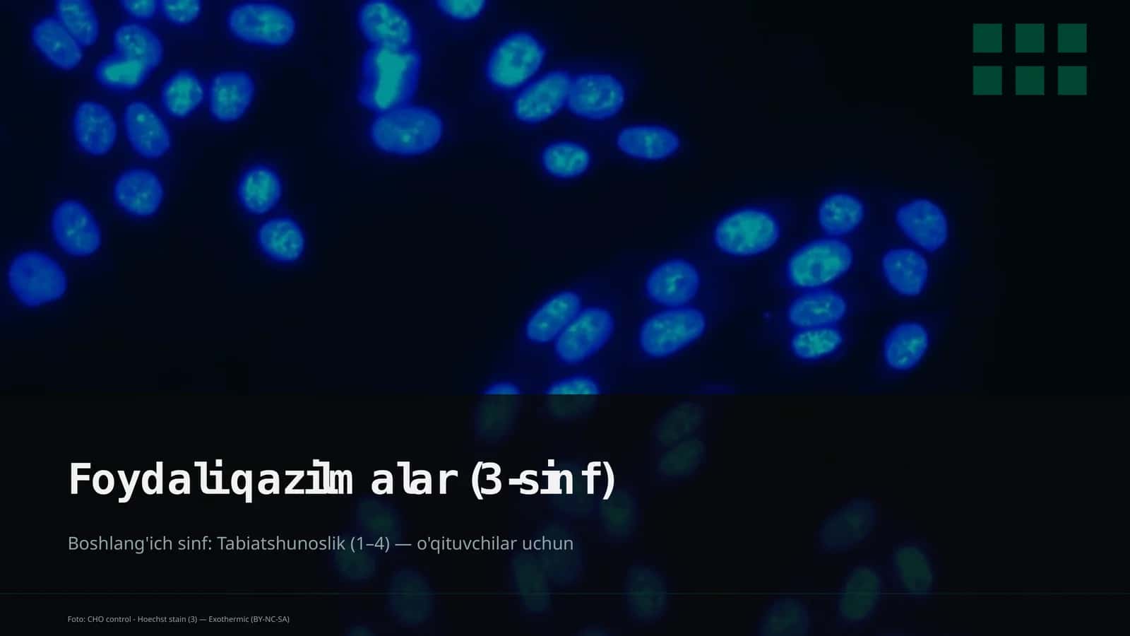 Foydali qazilmalar (3-sinf) 1