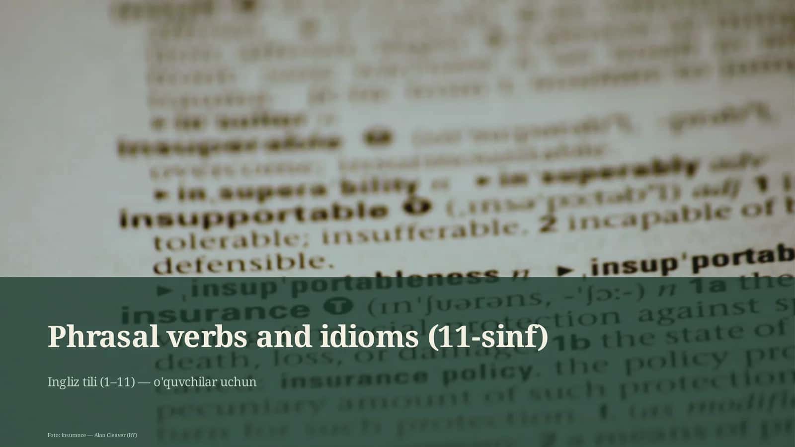 Phrasal verbs and idioms (11-sinf) 1