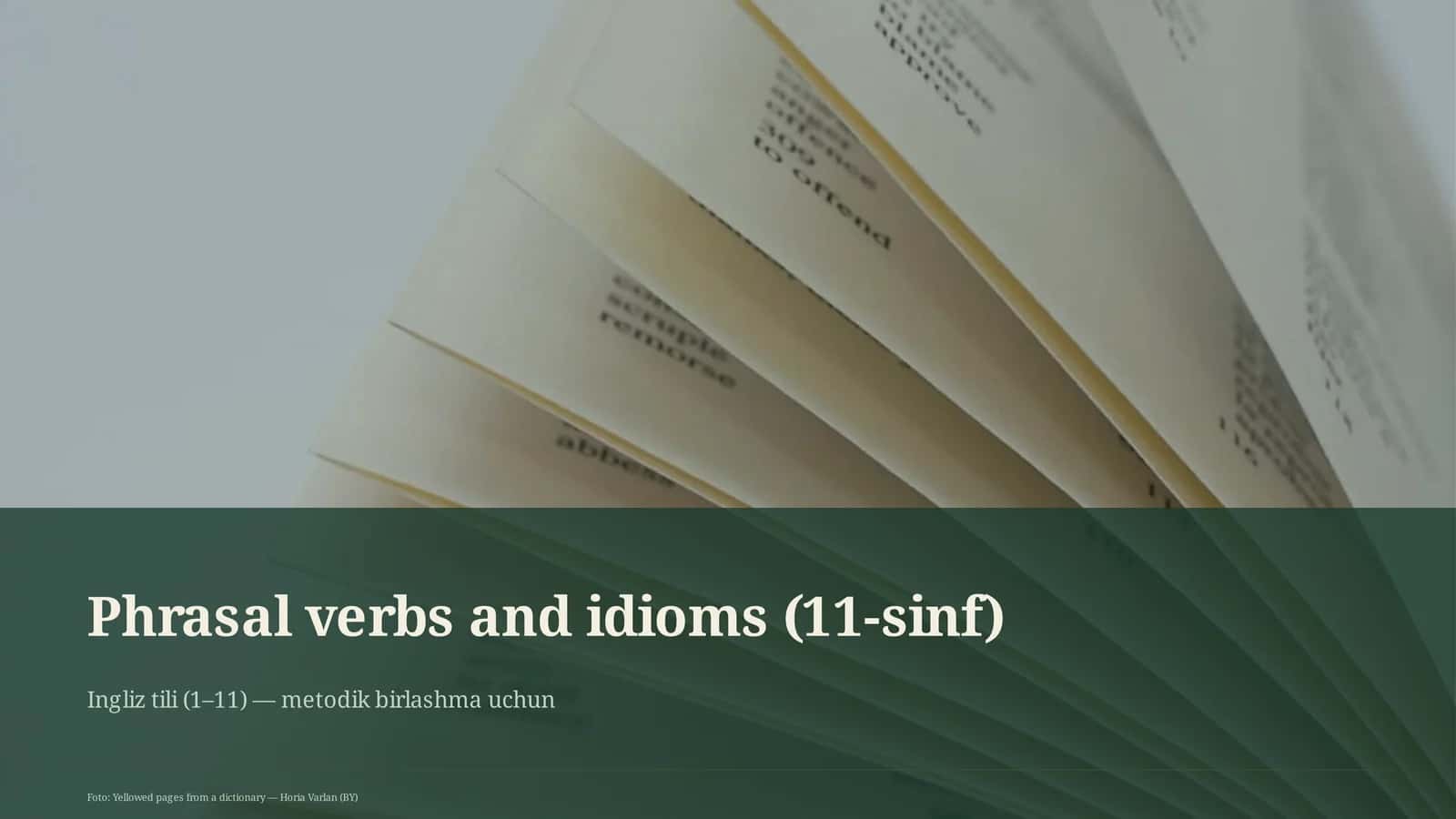 Phrasal verbs and idioms (11-sinf) 1