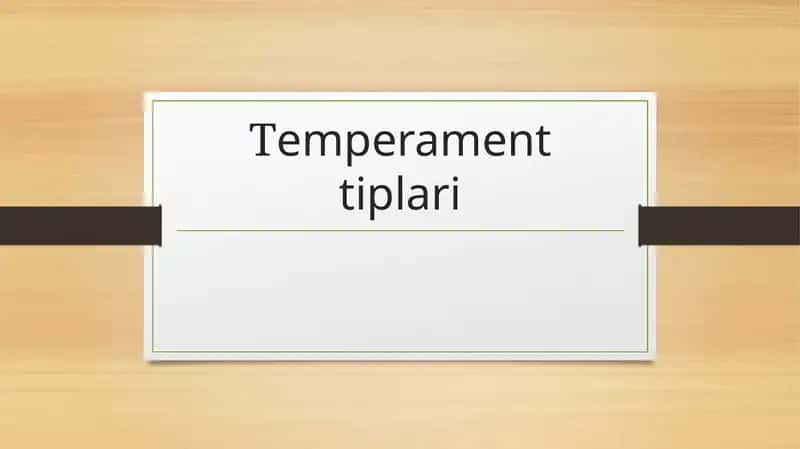 Temperamenttiplari 1