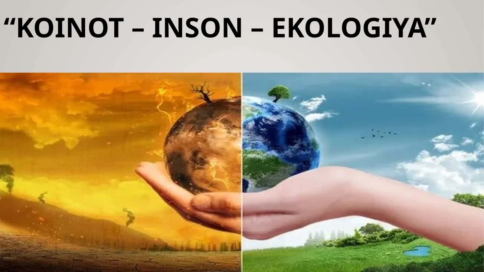 Koinot–Inson–Ekologiya 1
