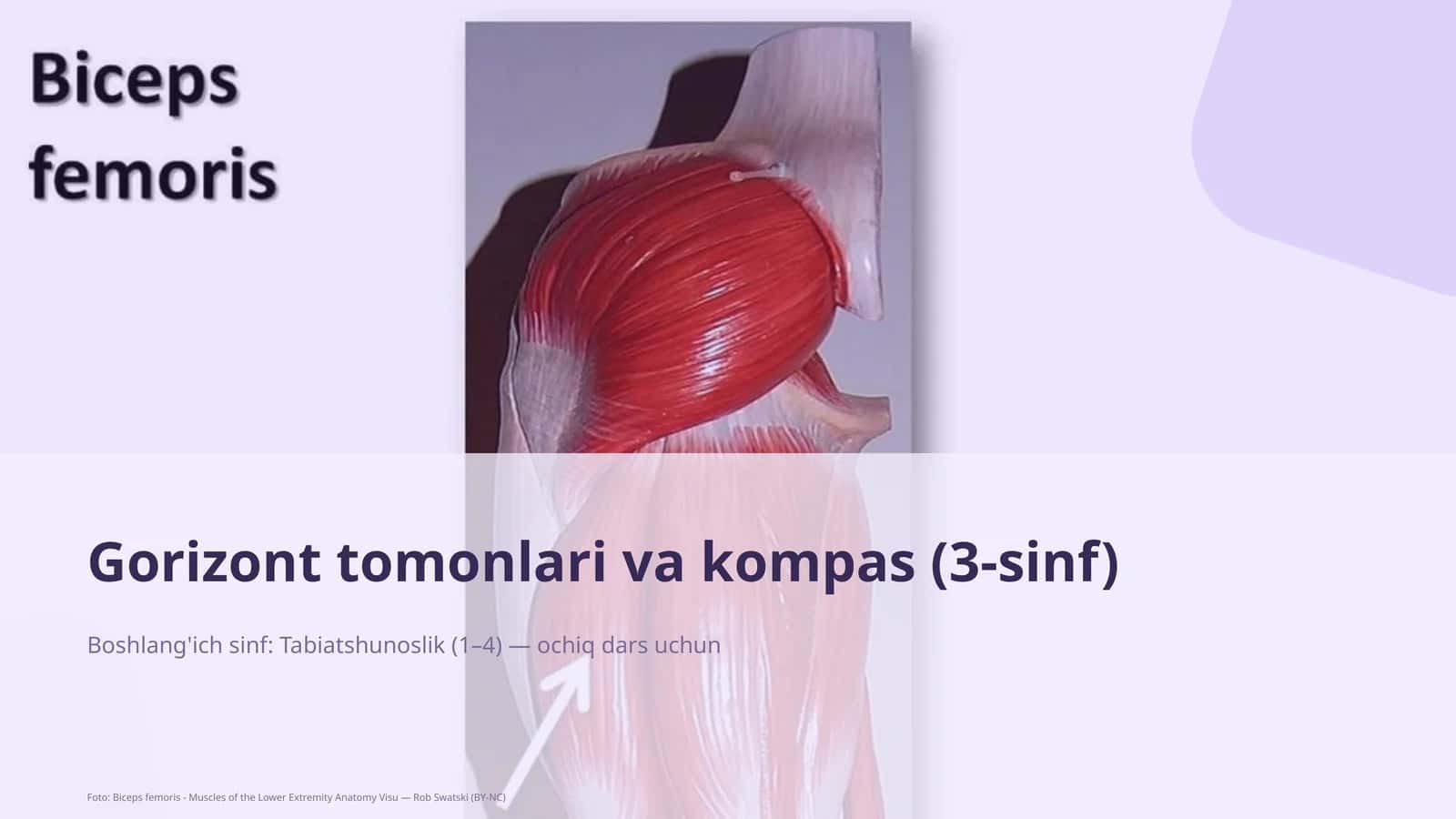Gorizont tomonlari va kompas (3-sinf) 1