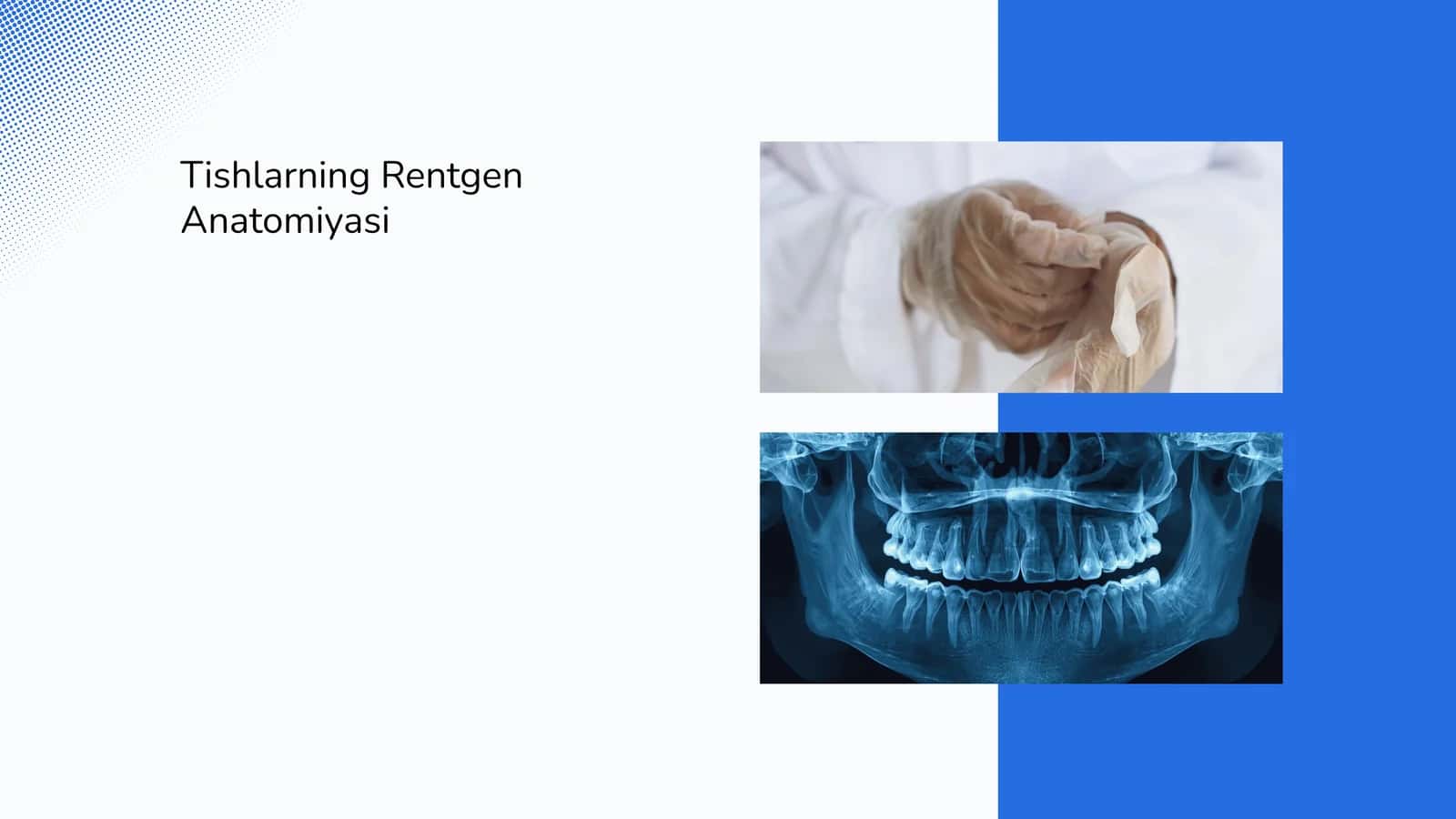 Tishlarning rentgen anatomiyasi 1
