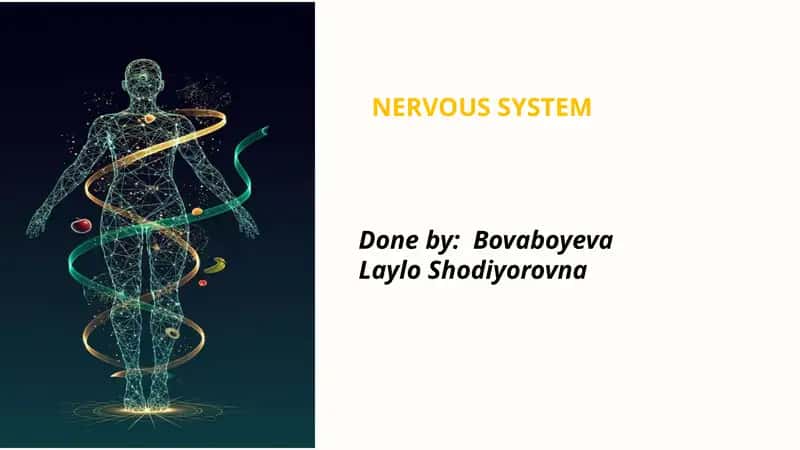 NERVOUS SYSTEM 1