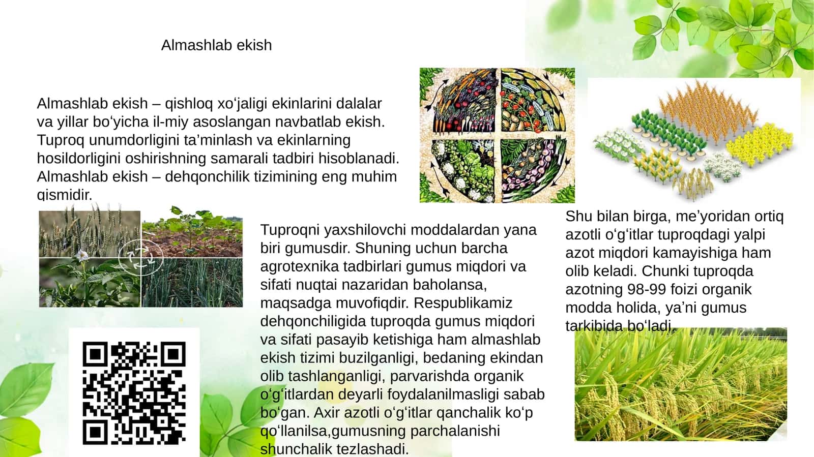 Almashlab ekish 1