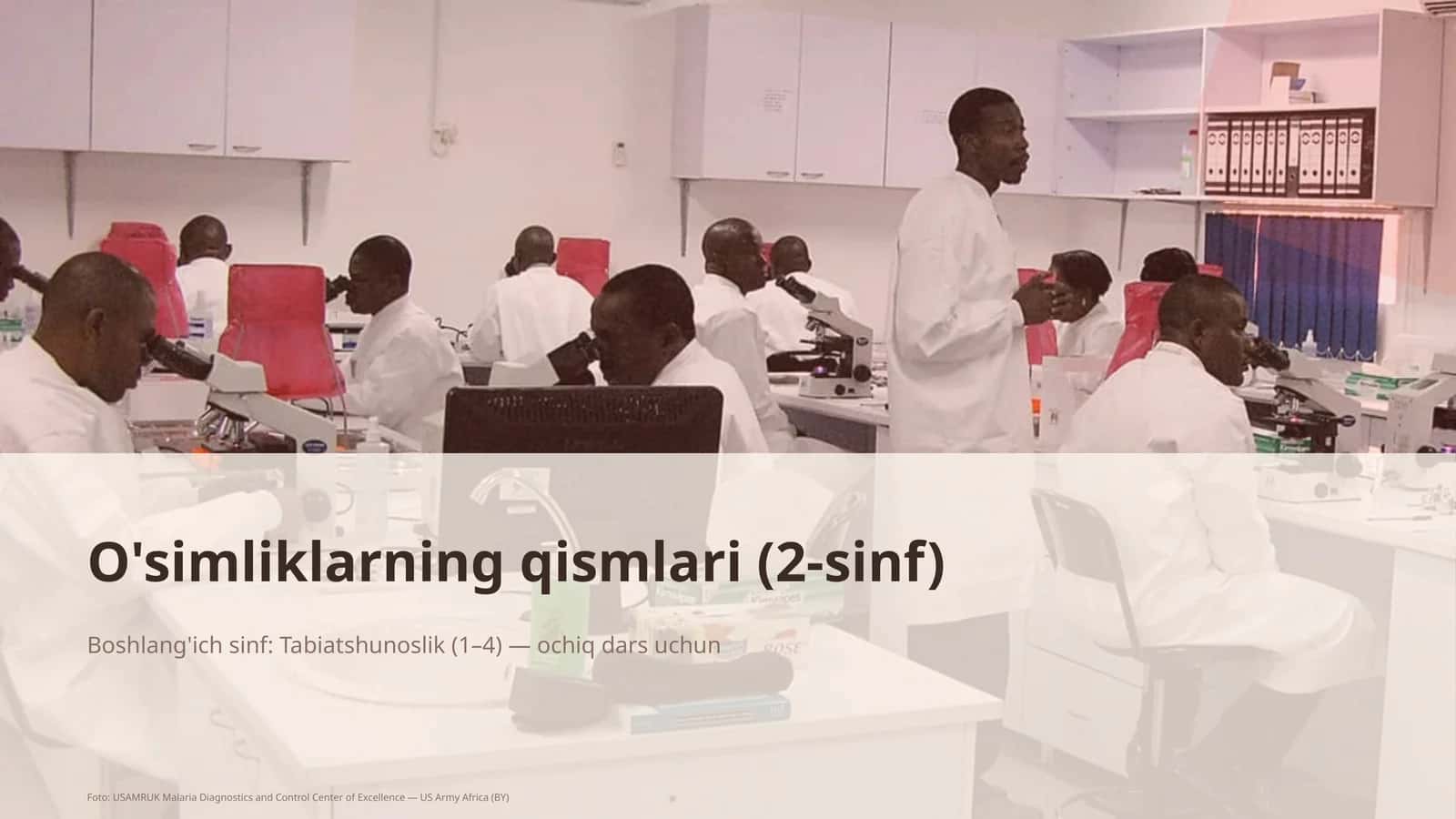 O'simliklarning qismlari (2-sinf) 1