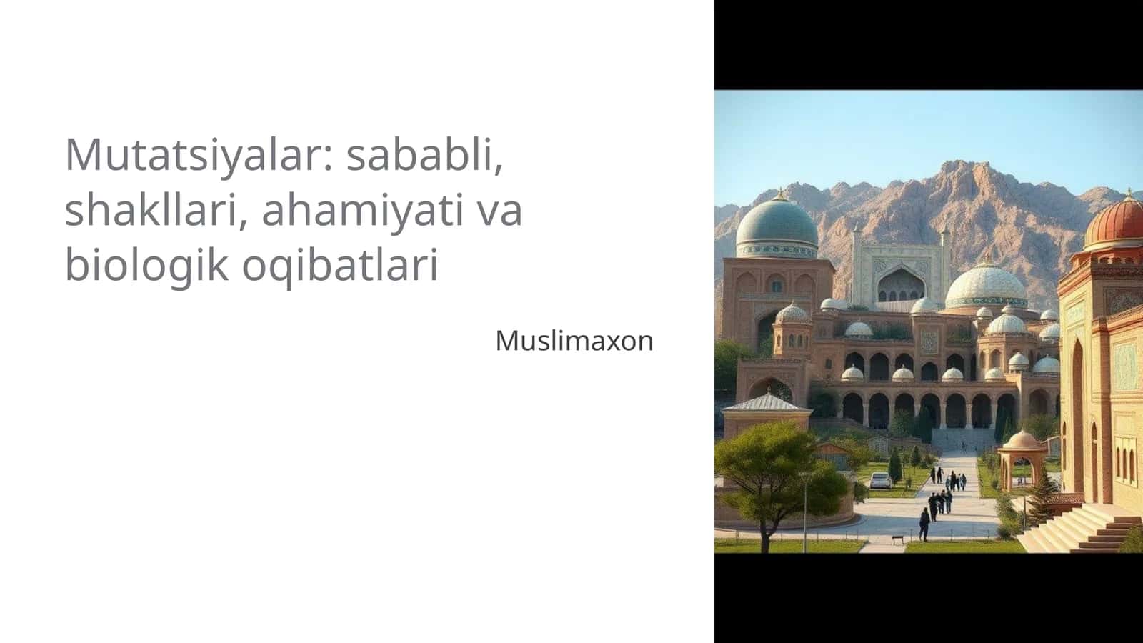 Muslimaxon 1