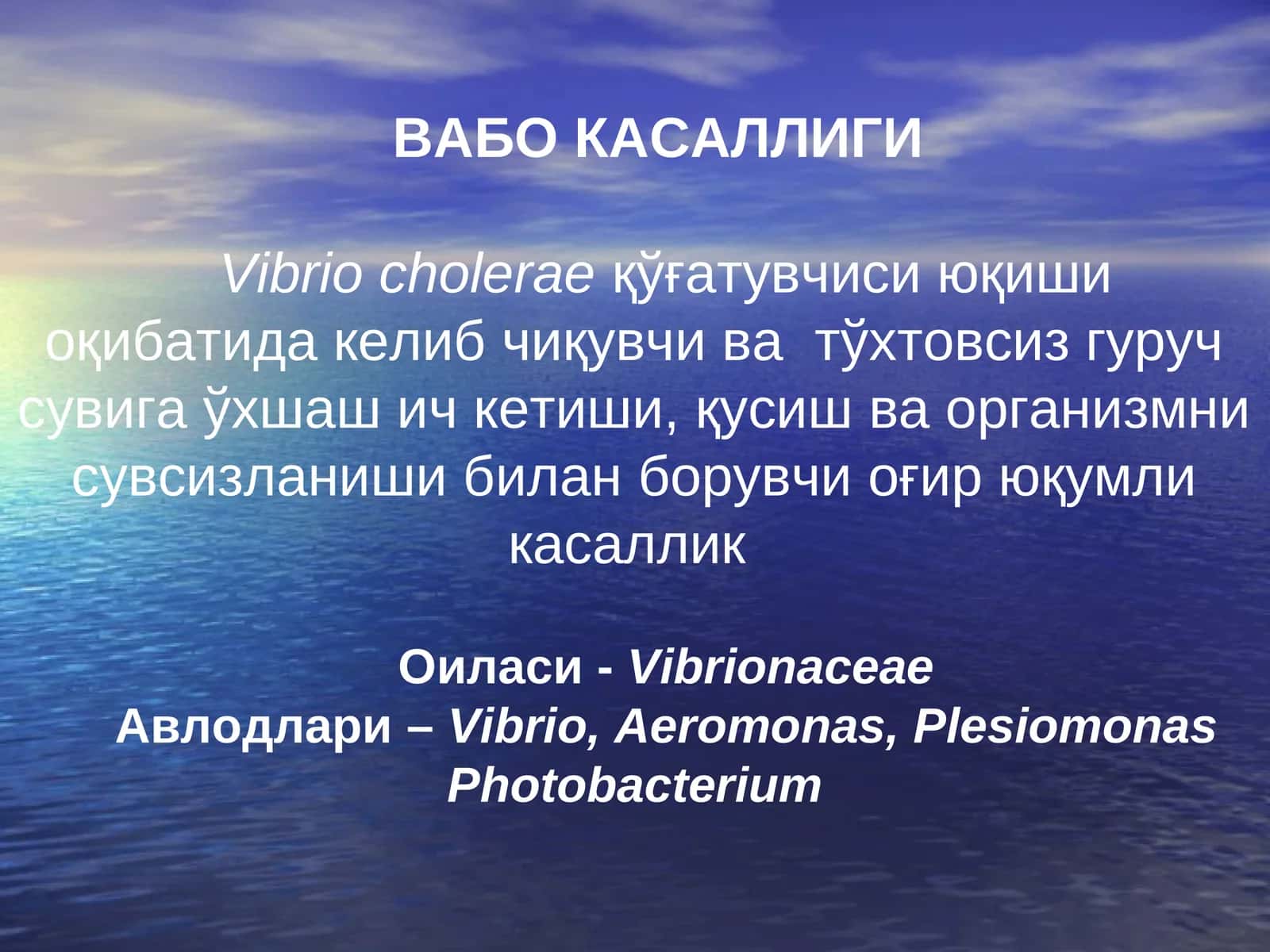 Vibrio cholerae 1