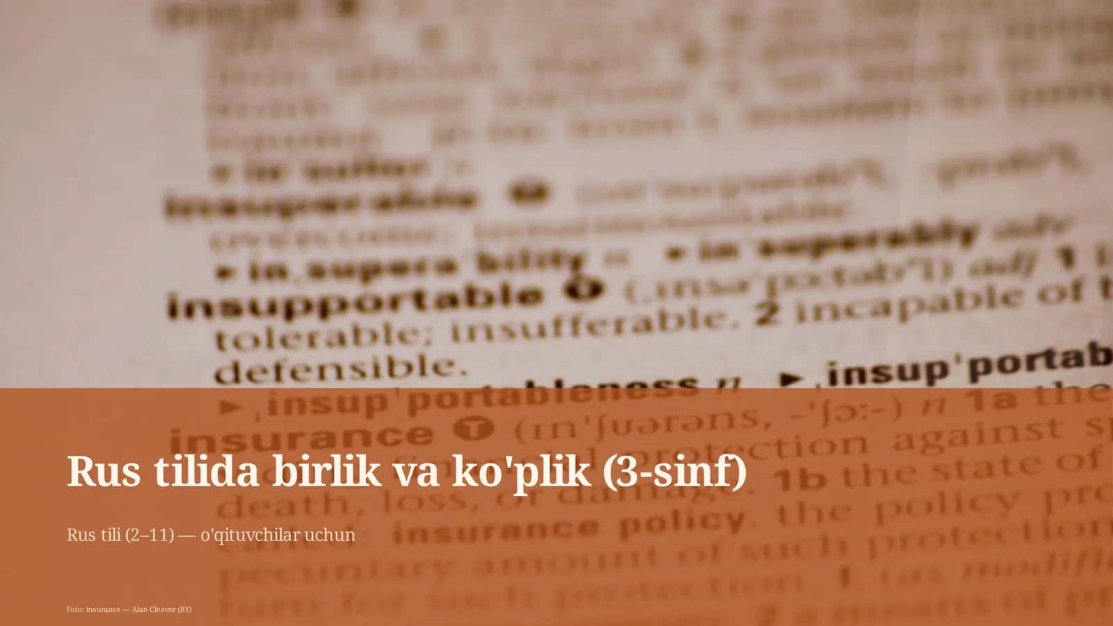 Rus tilida birlik va ko'plik (3-sinf) 1
