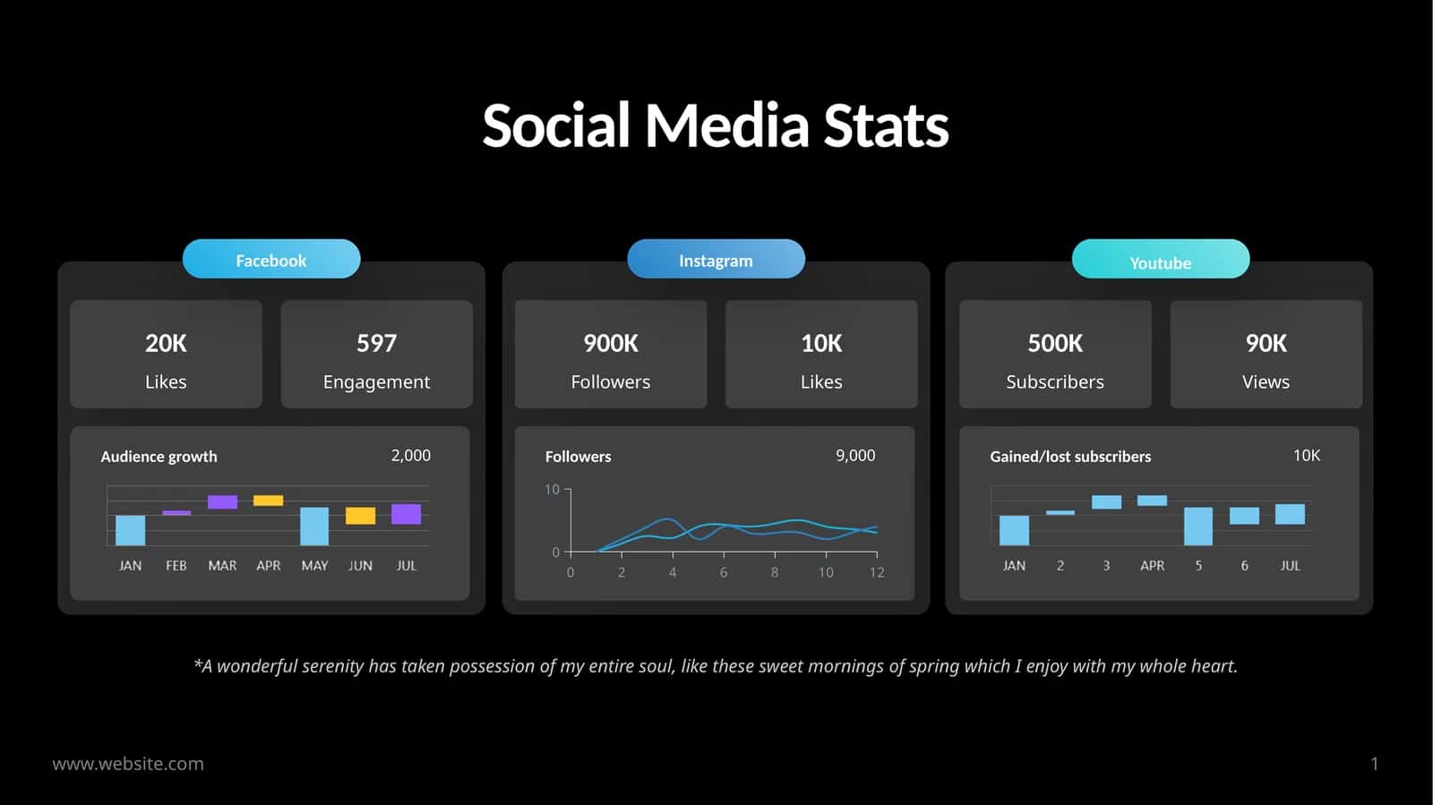 Social Media Stats 1