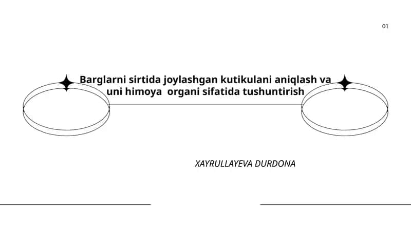 Barglar kutikulasi 1