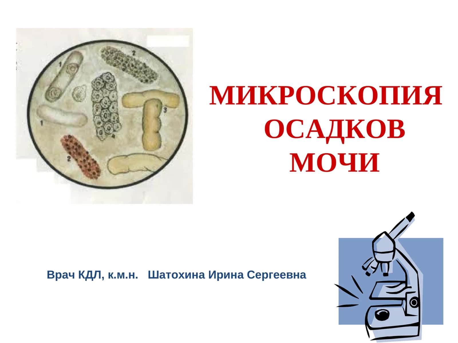 МИКРОСКОПИЯ ОСАДКОВ МОЧИ 1
