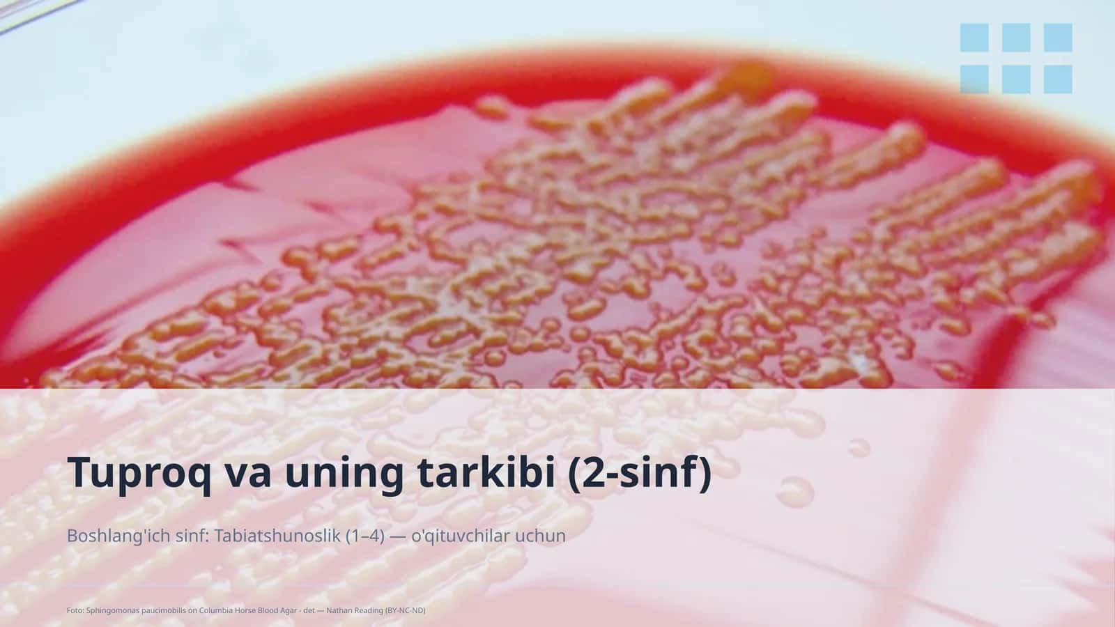 Tuproq va uning tarkibi (2-sinf) 1