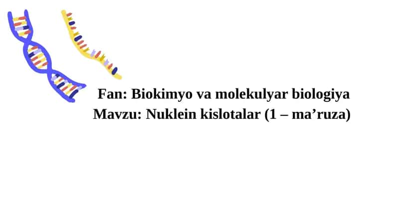 Nukleinkislotalar(1 –ma’ruza) 1